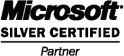 Microsoft Silver logo